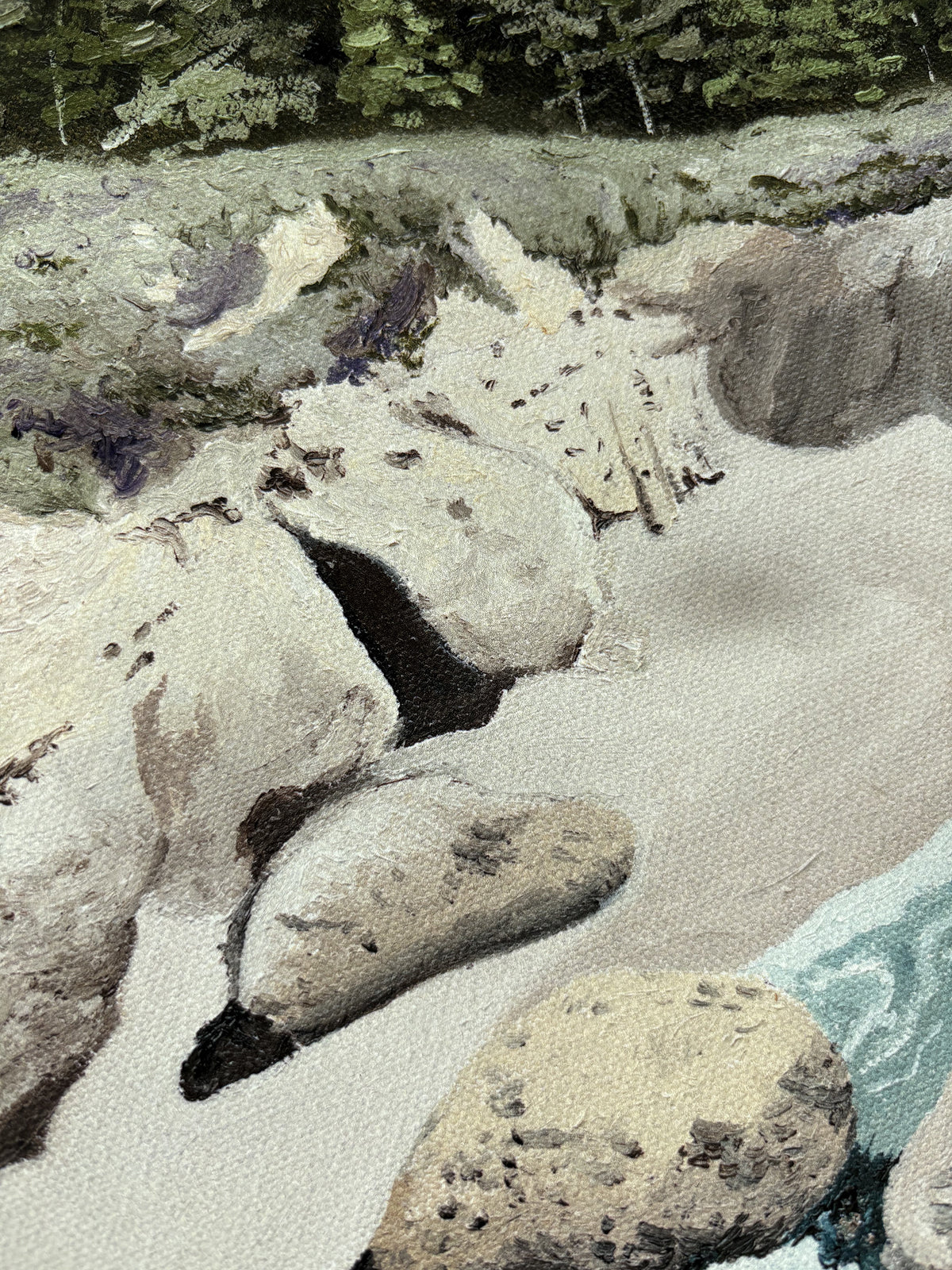 Close up of Carmel Highlands sandy beach dunes