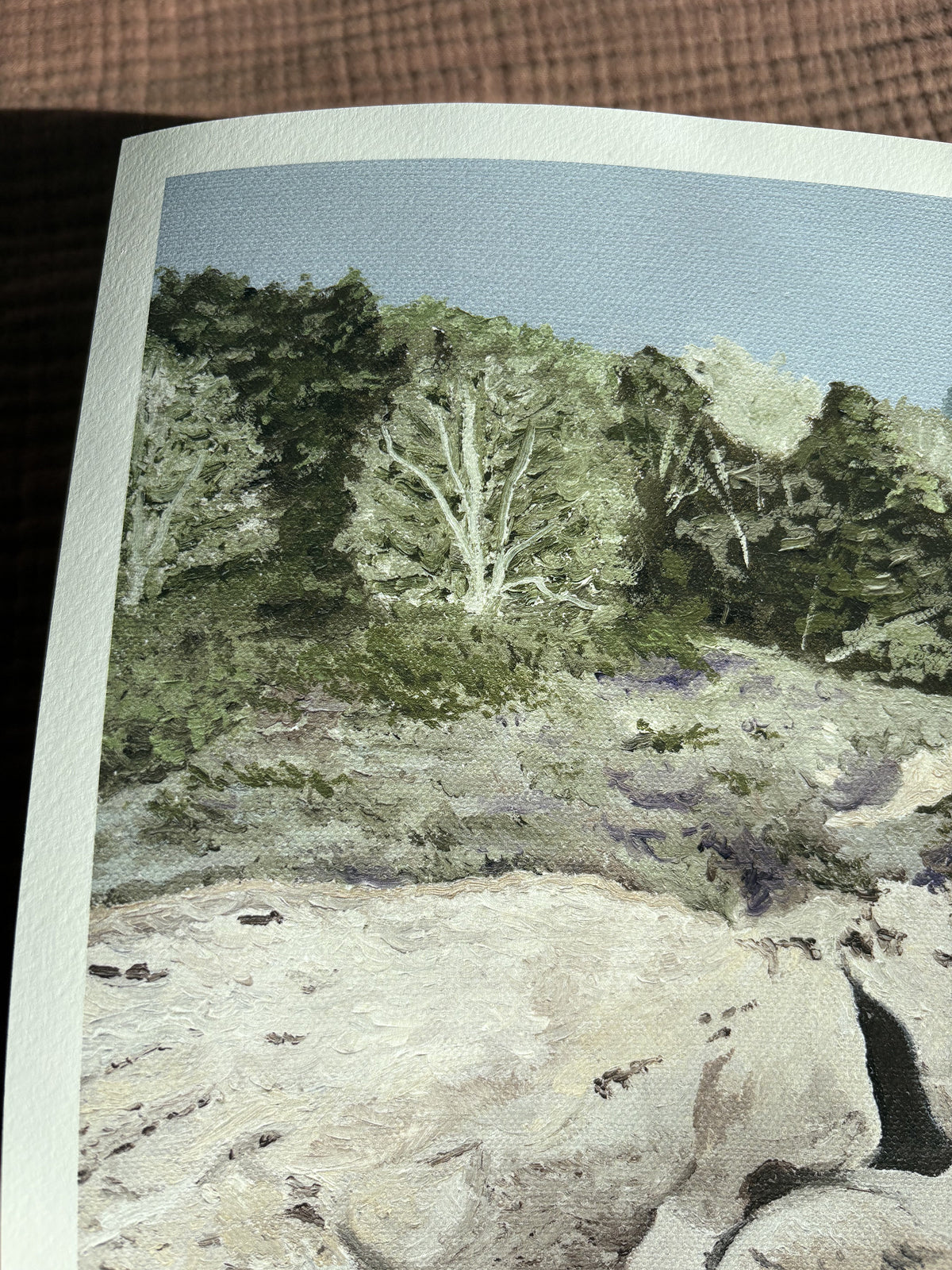 Close up of Carmel Highlands Print. Scenic view of a forested area with trees and rocks on a hillside.