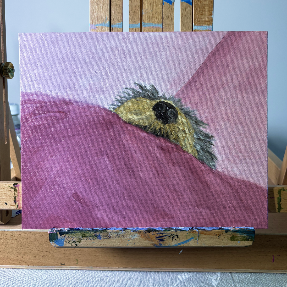 A painting of a gray and tan mini schnauzer's muzzle on a pink blanket with a pink room