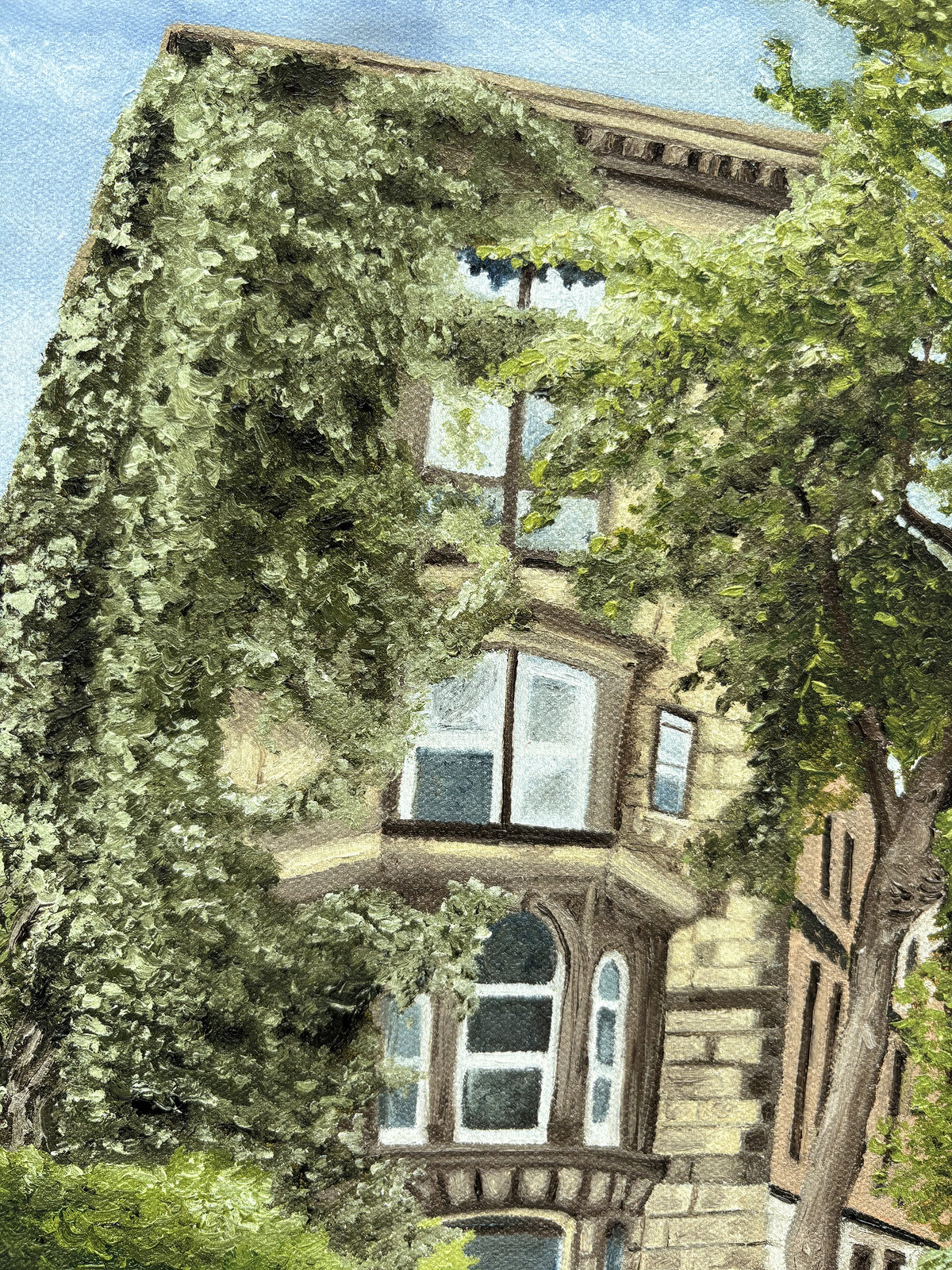 Close up detail of the ivy growing along the front and side of an East Village New York City multi story brown stone building. 