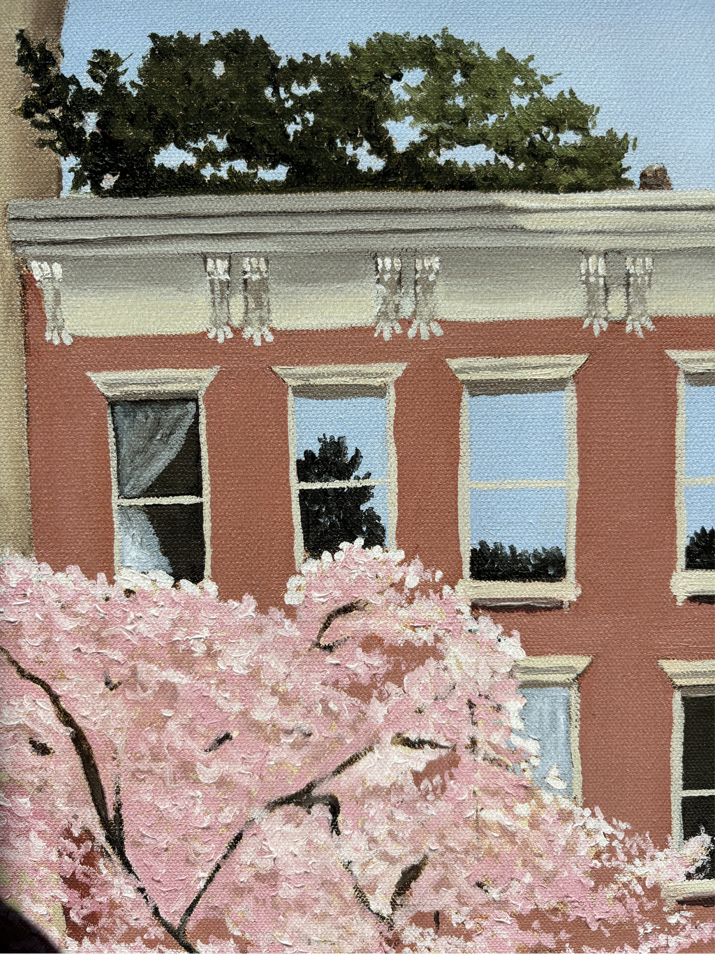 Close up shot of pink cherry blossoms in front of a red brick building with white trim.