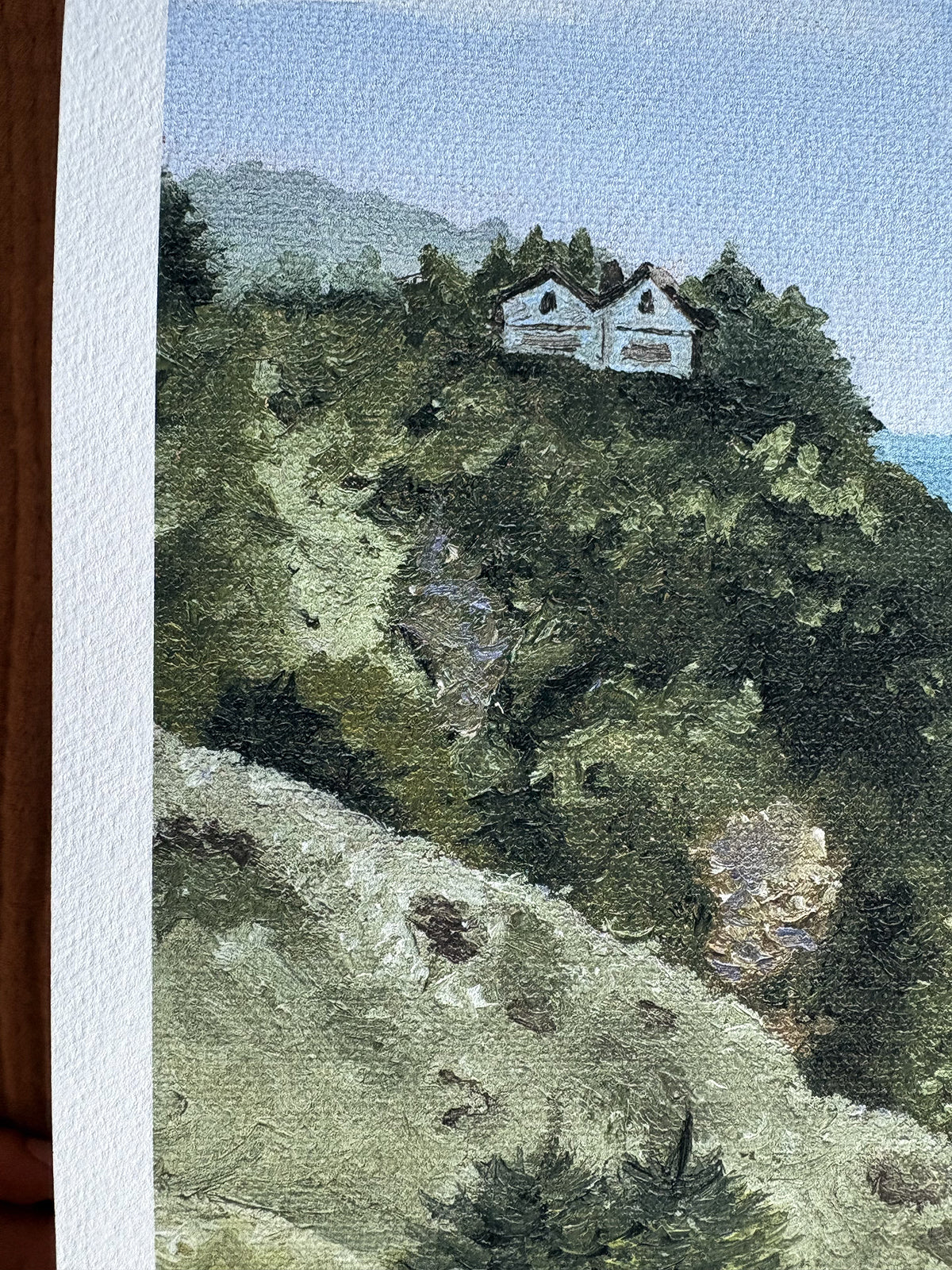 Houses on a hillside with a scenic background