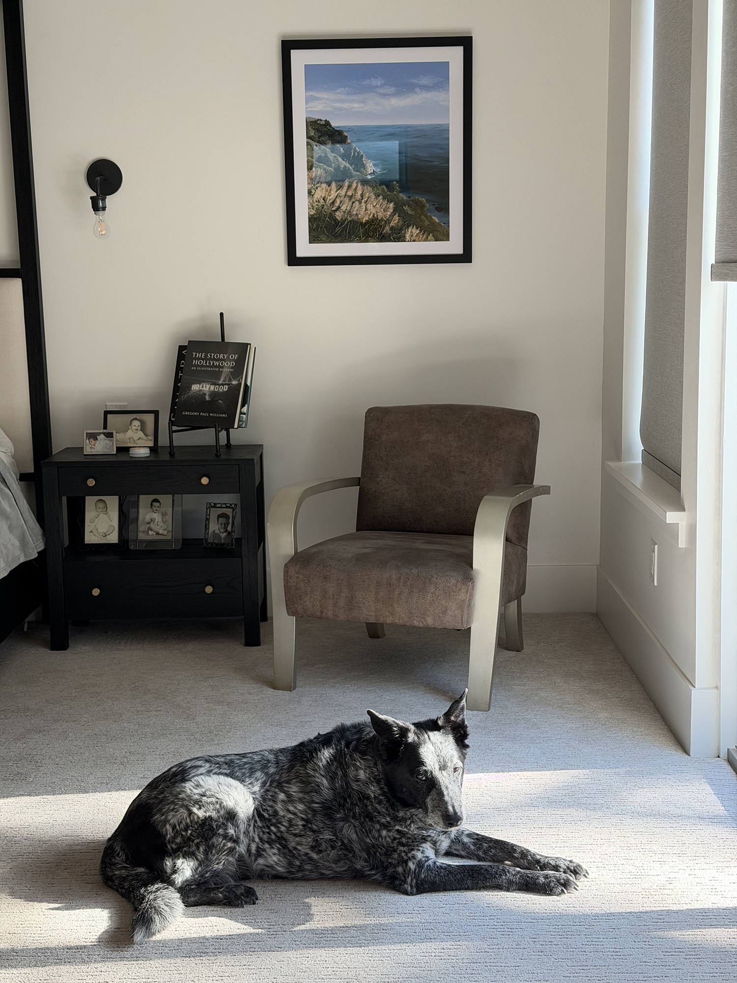 Dog lying on a carpeted floor in a room with a chair, nightstand, and framed picture of a coastal cliff painting of Big Sur, California hanging on the wall in a black frame.